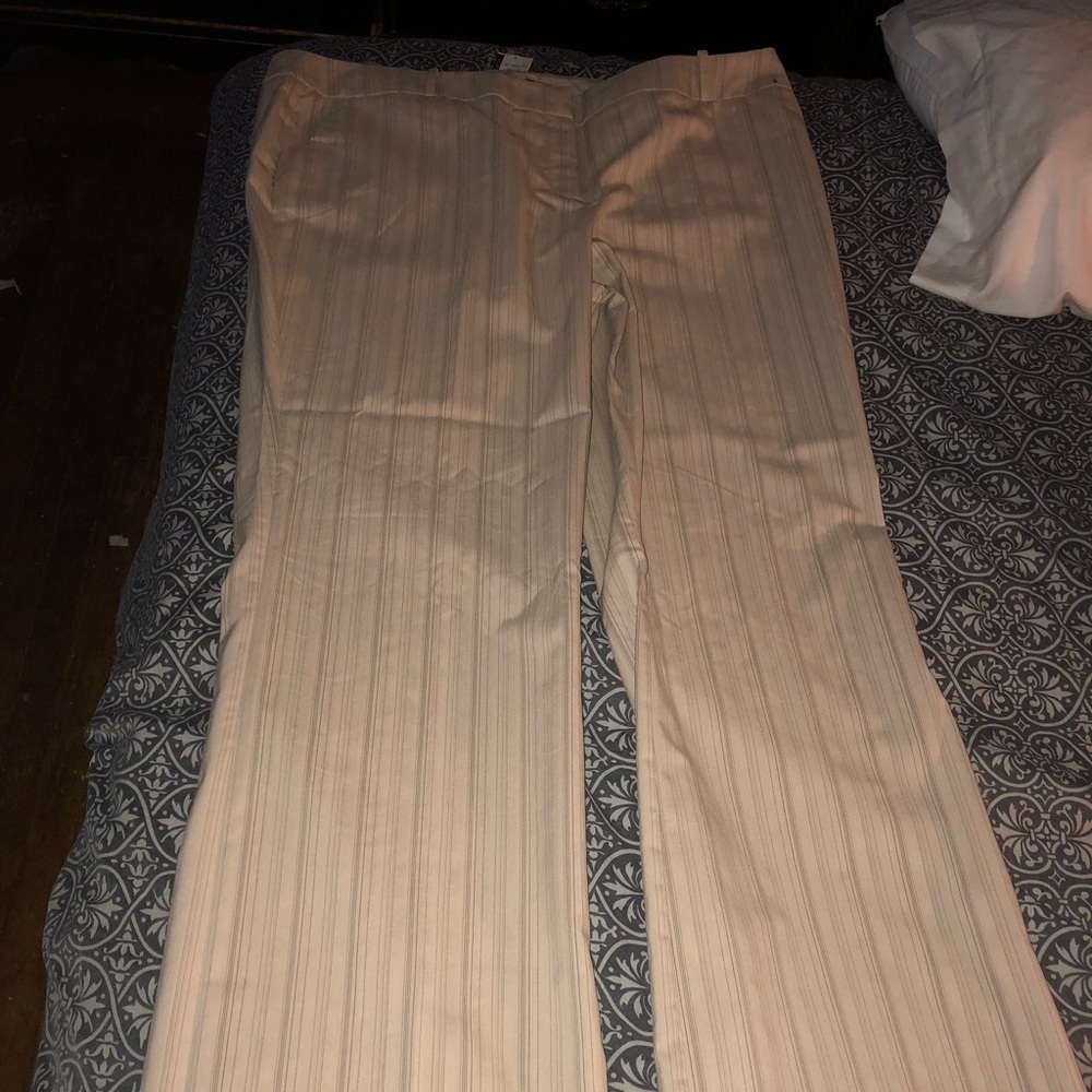 Dress Pants